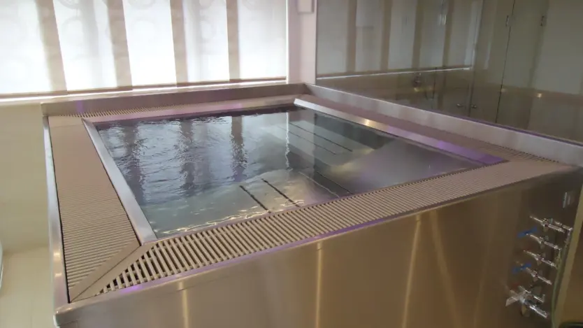 Whirlpool aus Edelstahl von Polytherm mit Sitz- und Liegeflächen